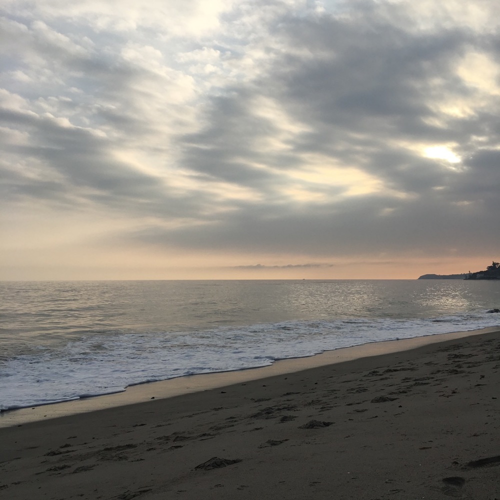 Meet your Posher, Talise